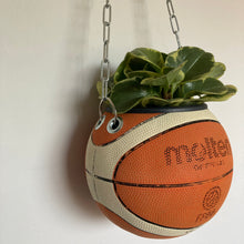 Charger l&#39;image dans la galerie,     decoration-ballon-de-basket-transforme-en-pot-de-fleurs-molten
