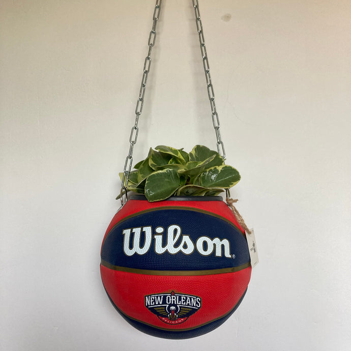 decoration-ballon-de-basket-transforme-en-pot-de-fleurs-new-orleans-pelicans