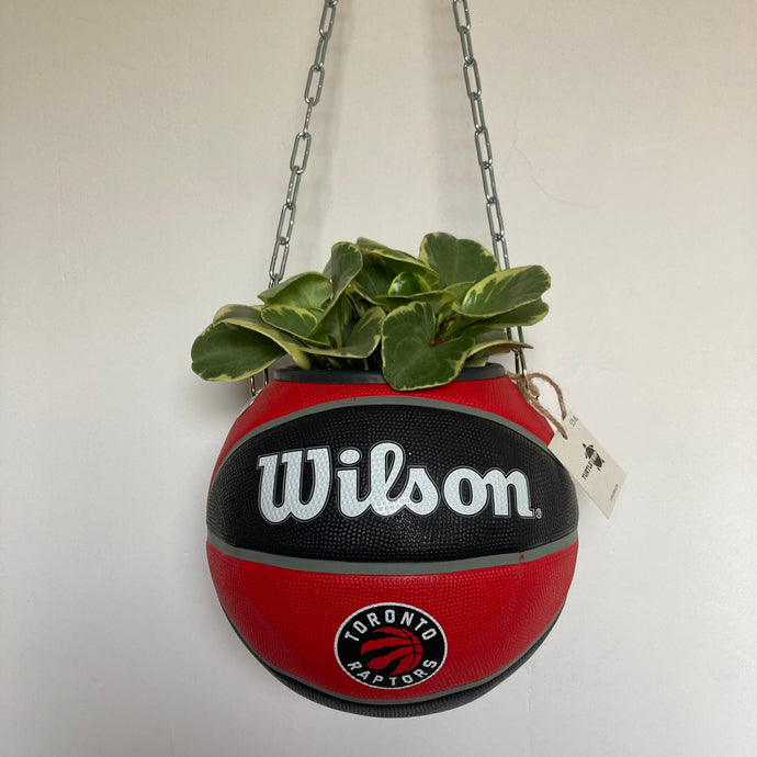 decoration-ballon-de-basket-transforme-en-pot-de-fleurs-raptors