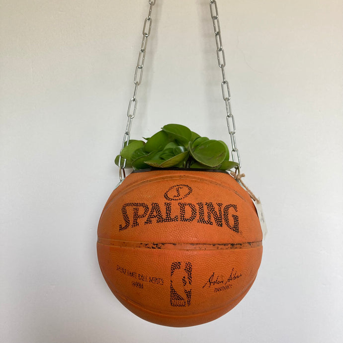 decoration-ballon-de-basket-transforme-en-pot-de-fleurs-spalding-orange