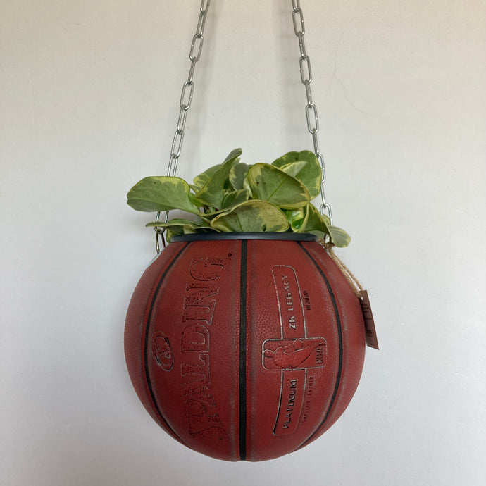 decoration-ballon-de-basket-transforme-en-pot-de-fleurs-spalding-rouge