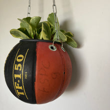 Charger l&#39;image dans la galerie,    decoration-ballon-de-basket-transforme-en-pot-de-fleurs-spalding-tf-150
