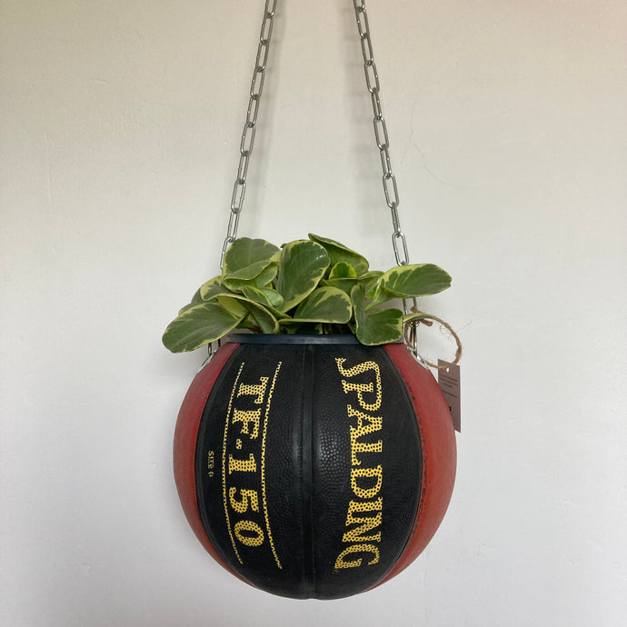    decoration-ballon-de-basket-transforme-en-pot-de-fleurs-spalding-tf-150
