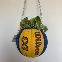 Charger l&#39;image dans la galerie, decoration-ballon-de-basket-transforme-en-pot-de-fleurs-spalding-wilson-3x3
