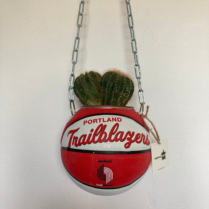 decoration-ballon-de-basket-transforme-en-pot-de-fleurs-trailblazers