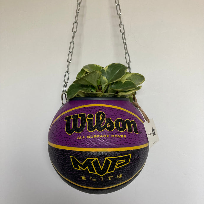 decoration-ballon-de-basket-transforme-en-pot-de-fleurs-wilson-mvp