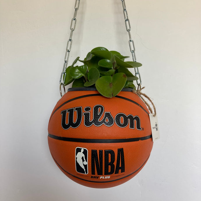 decoration-ballon-de-basket-transforme-en-pot-de-fleurs-wilson