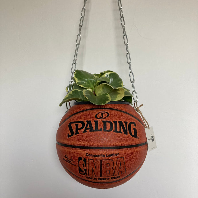     decoration-ballon-de-basket-transforme-en-pot-de-fleurs