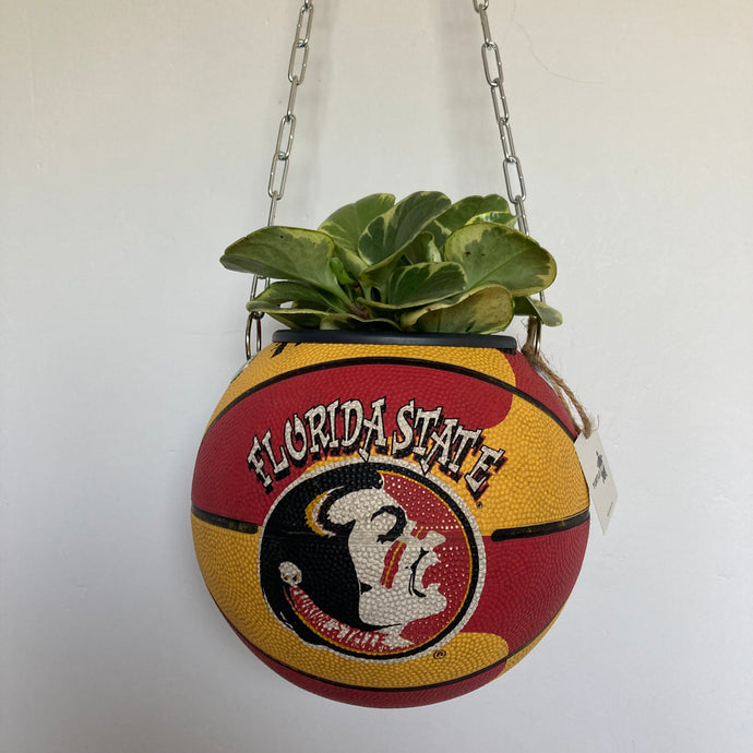 decoration-ballon-de-basket-vintage-transforme-en-pot-de-fleurs-florida