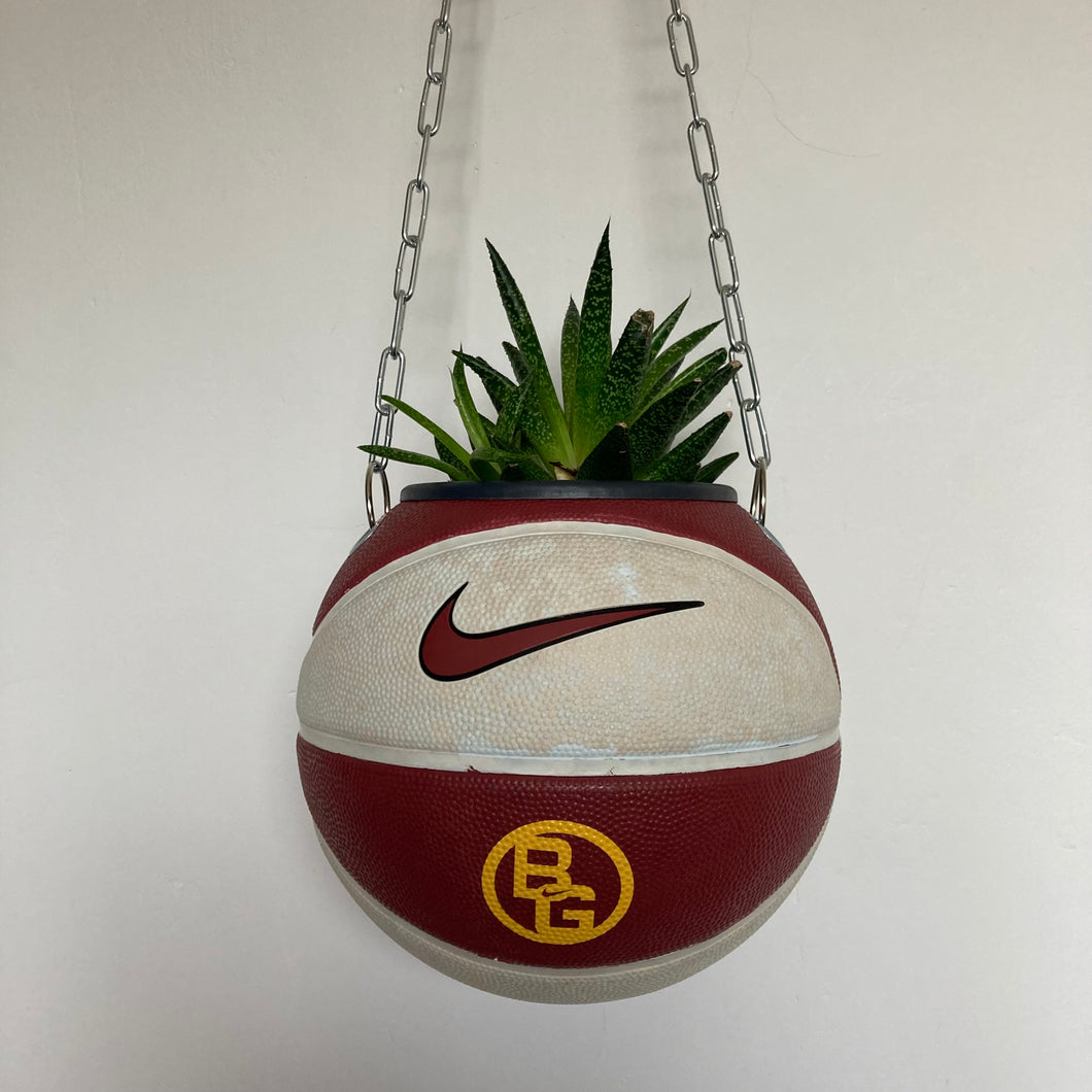 decoration-basketball-plante-ballon-de-basket-nike-los-angeles-nba