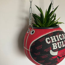 Charger l&#39;image dans la galerie, decoration-basketball-plante-vase-ballon-de-basket-chicago-bulls-nba
