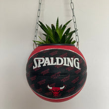 Charger l&#39;image dans la galerie, decoration-basketball-plante-vase-ballon-de-basket-chicago-bulls-nba
