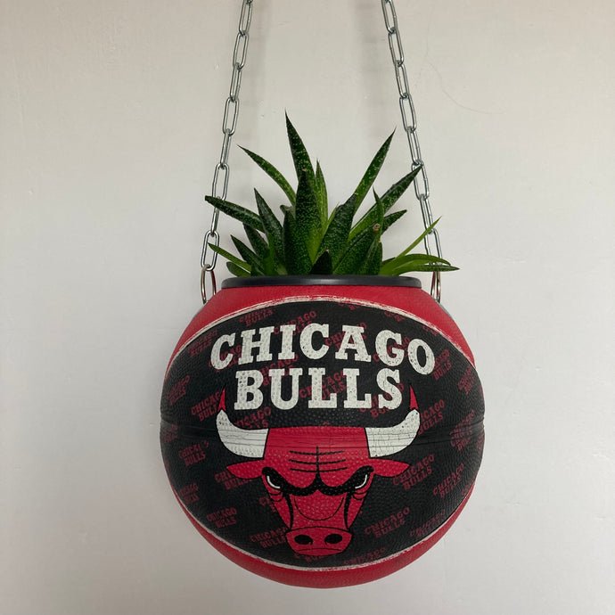 decoration-basketball-plante-vase-ballon-de-basket-chicago-bulls-nba