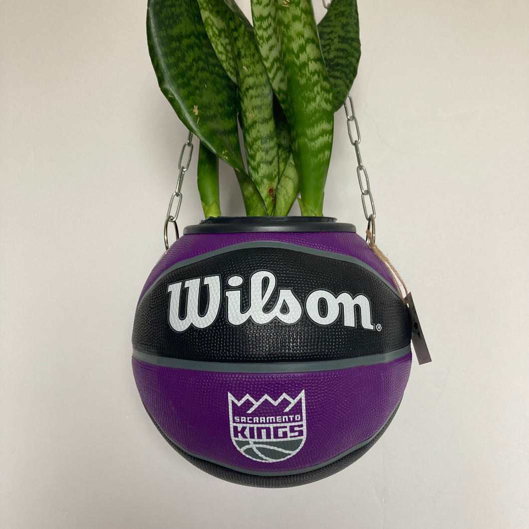      decoration-basketball-planter-ballon-de-basket-wilson-kings-pot-de-fleurs-original