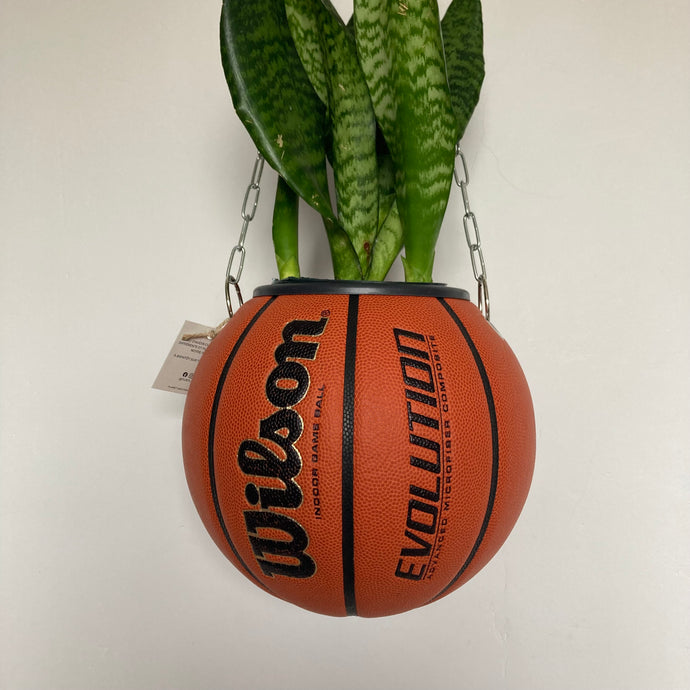     decoration-basketball-planter-ballon-de-basket-wilson-pot-de-fleurs-original