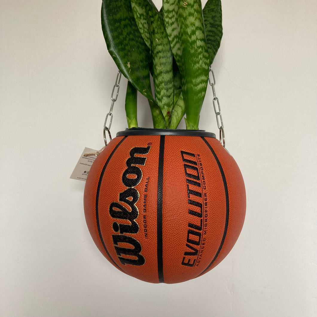      decoration-basketball-planter-ballon-de-basket-wilson-pot-de-fleurs-original