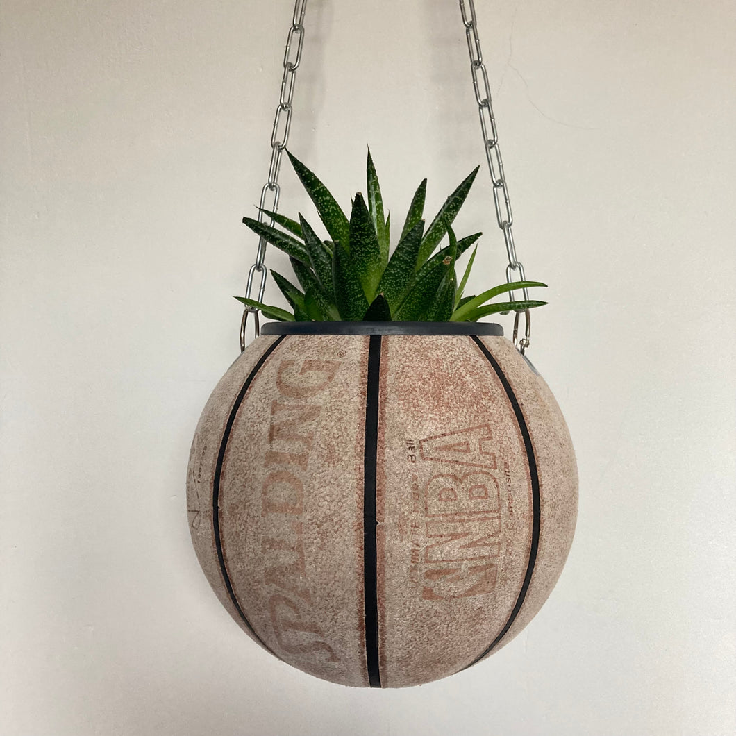decoration-basketball-vintage-vase-plante-ballon-de-basket-nba