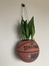 Charger l&#39;image dans la galerie, decoration-nba-basketball-planter-pot-de-fleurs-ballon-de-basket-plante
