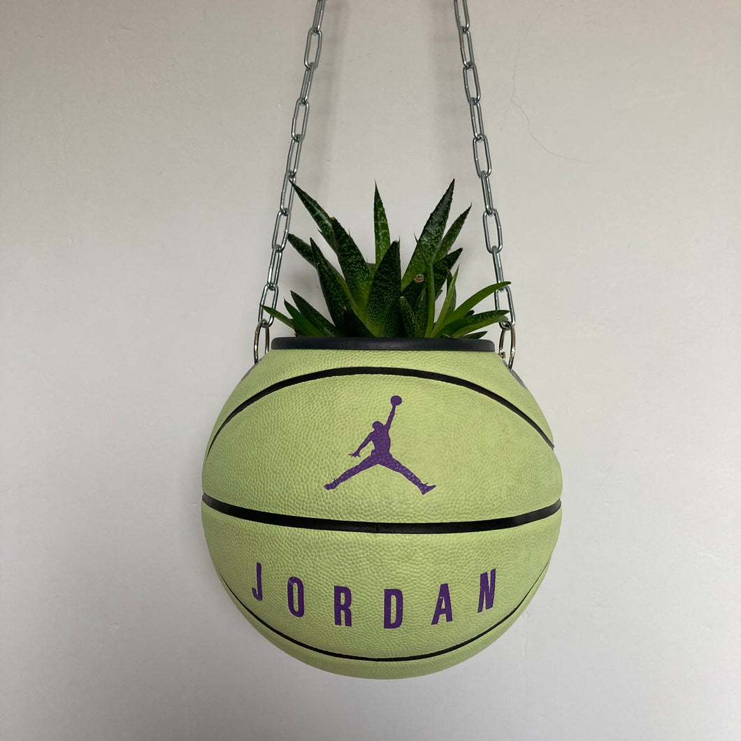 decoration-nike-basketball-plante-ballon-de-basket-vintage-jordan