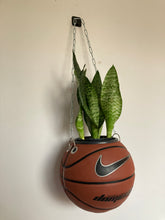 Charger l&#39;image dans la galerie, decoration-plante-ballon-de-basket-pot-de-fleurs-nike
