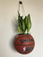 Charger l&#39;image dans la galerie, decoration-plante-ballon-de-basket-pot-de-fleurs-spalding-nba
