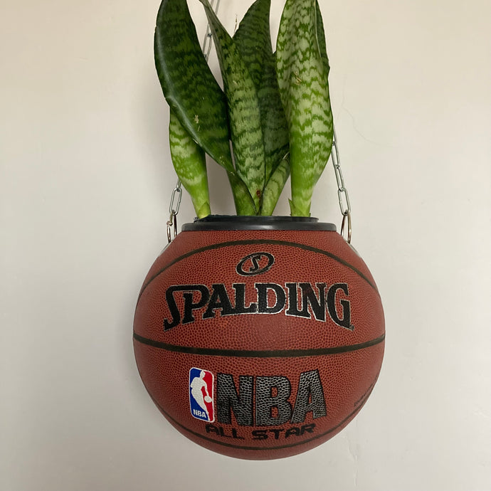 decoration-plante-ballon-de-basket-pot-de-fleurs-spalding-nba