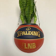 Charger l&#39;image dans la galerie, decoration-plante-ballon-de-basket-spalding-legacy-1000-pot-de-fleurs
