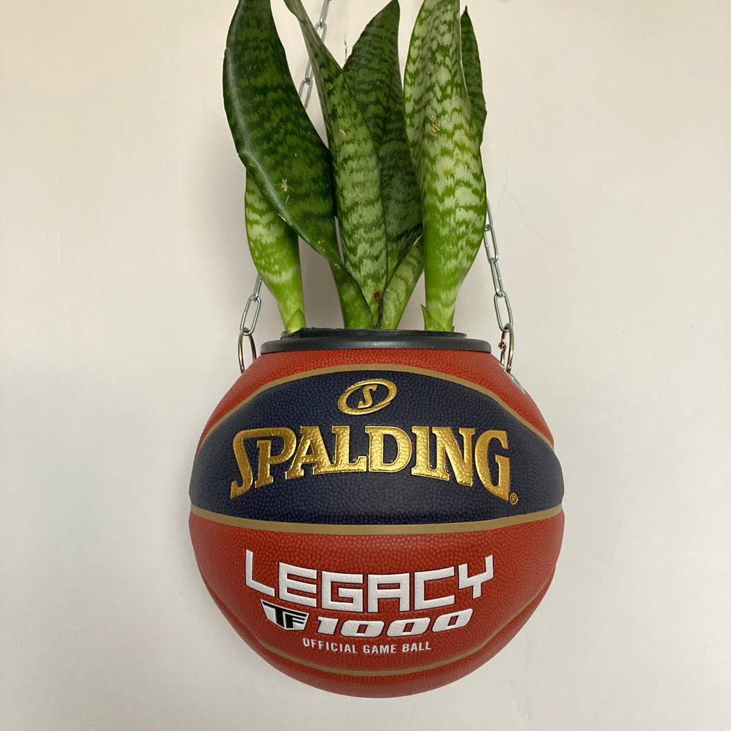decoration-plante-ballon-de-basket-spalding-legacy-1000-pot-de-fleurs