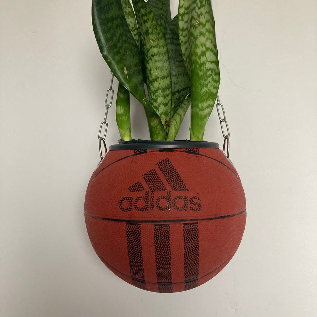 decoration-sneakers-adidas-pot-de-fleurs-plante-ballon-de-basket-basketball-planter