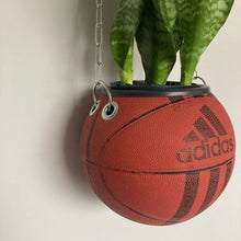 Charger l&#39;image dans la galerie, decoration-sneakers-adidas-pot-de-fleurs-plante-ballon-de-basket-basketball-planter
