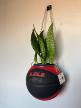 Charger l&#39;image dans la galerie, decoration-sneakers-nike-basket-ball-planter-ballon-plante
