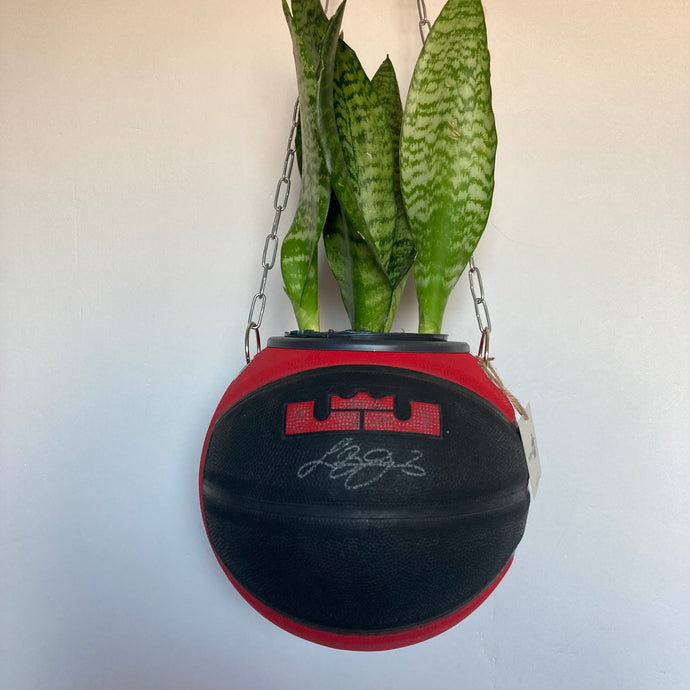 decoration-sneakers-nike-basket-ball-planter-ballon-plante