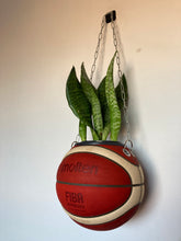 Charger l&#39;image dans la galerie, decoration-sneakers-basket-ball-planter-ballon-plantes
