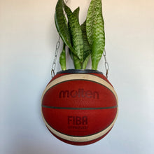 Charger l&#39;image dans la galerie, decoration-sneakers-basket-ball-planter-ballon-plantes
