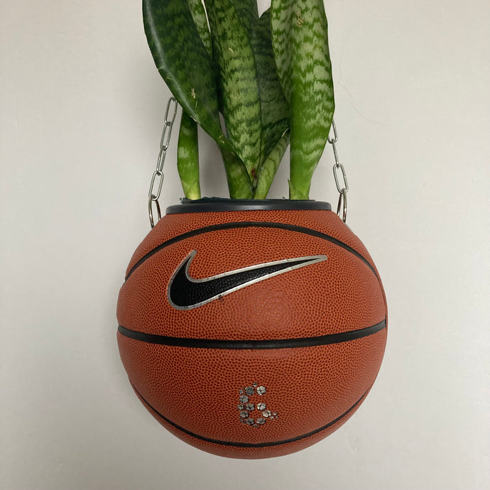 decoration-sneakers-nike-pot-de-fleurs-plante-ballon-de-basket-basketball-planter