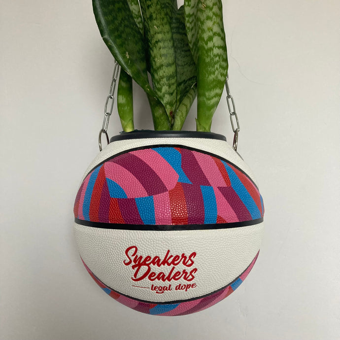 decoration-sneakers-patta-pot-de-fleurs-plante-ballon-de-basket-basketball-planter