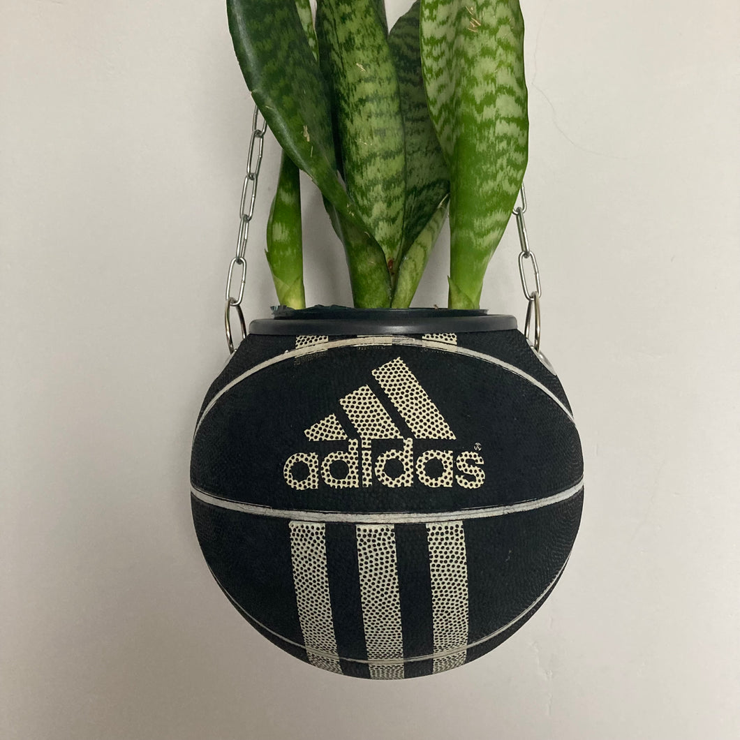 decoration-sneakers-pot-de-fleurs-plante-ballon-de-basket-adidas-basketball-planter