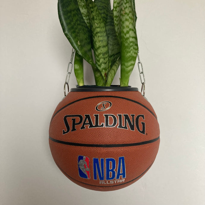 decoration-sneakers-pot-de-fleurs-plante-ballon-de-basket-basketball-planter