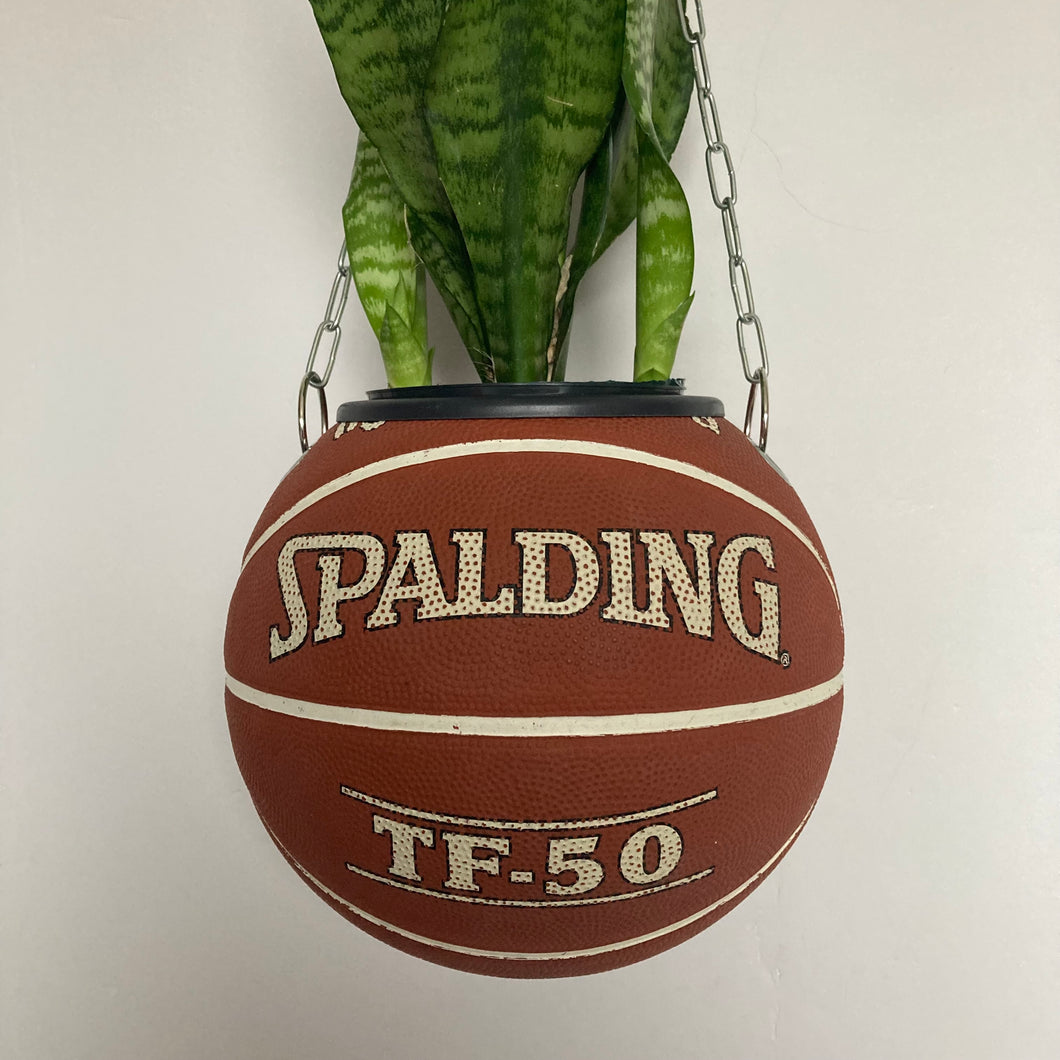 decoration-sneakers-pot-de-fleurs-plante-ballon-de-basket-spalding-basketball-planter
