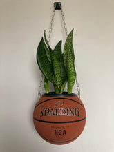 Charger l&#39;image dans la galerie, decoration-sneakers-pot-de-fleurs-plante-ballon-de-basketball-planter-spalding

