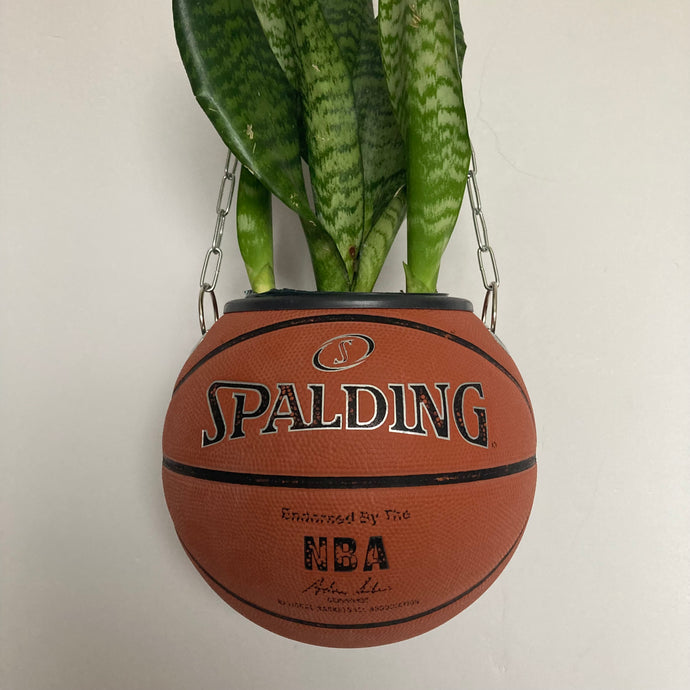 decoration-sneakers-pot-de-fleurs-plante-ballon-de-basketball-planter-spalding