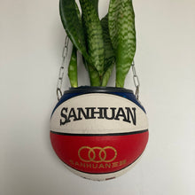 Charger l&#39;image dans la galerie, decoration-sneakers-pot-de-fleurs-plante-ballon-de-basketball-planter-turtle
