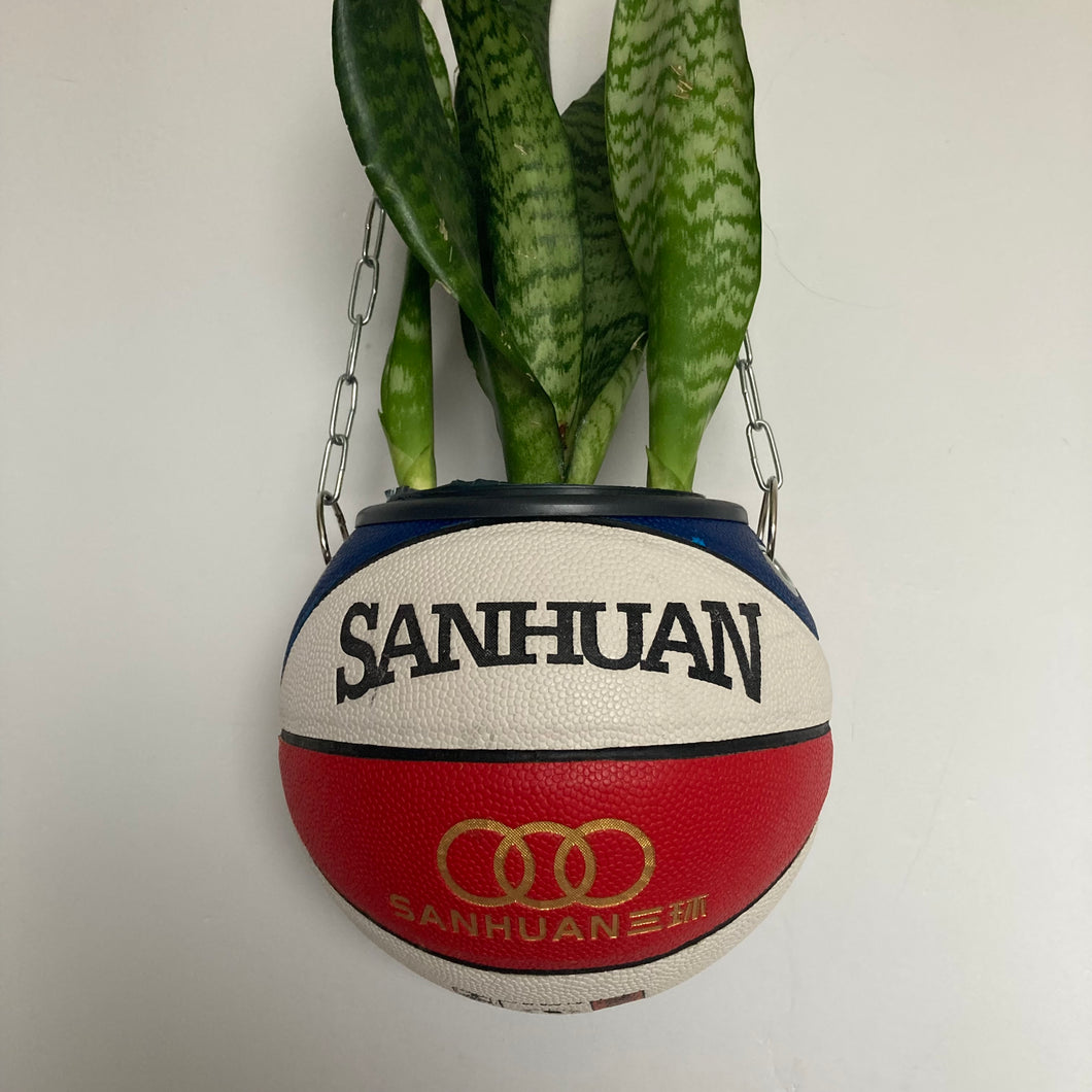 decoration-sneakers-pot-de-fleurs-plante-ballon-de-basketball-planter-turtle