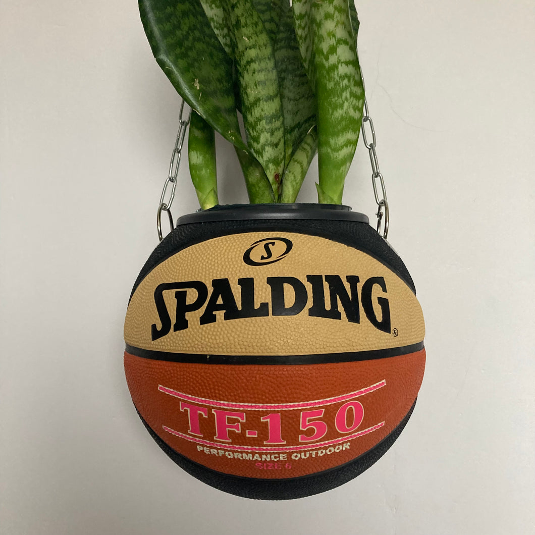 decoration-sneakers-pot-de-fleurs-plante-ballon-de-basketball-planter