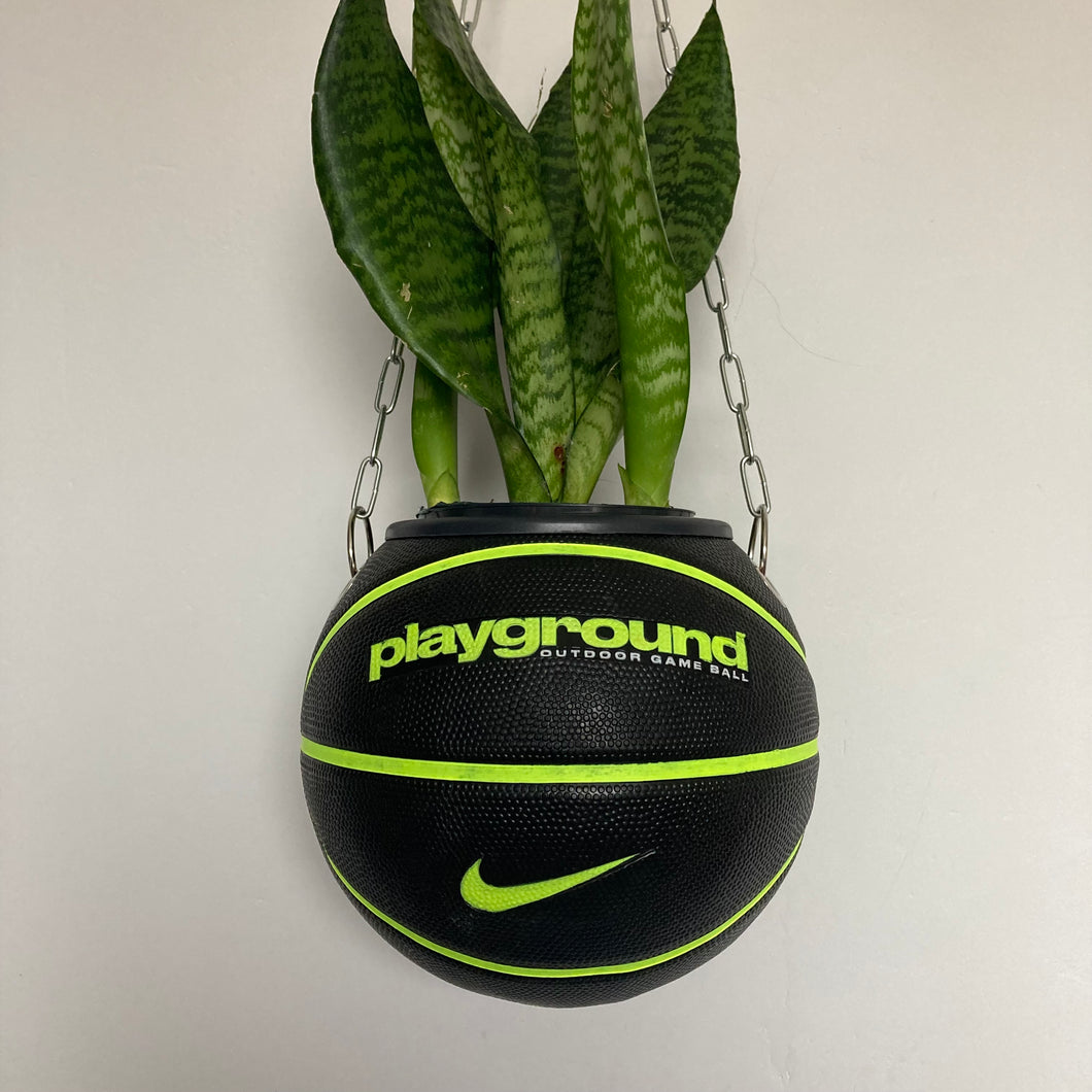     idee-deco-chambre-sneaker-room-basketball-planter-pot-de-fleurs-ballon-de-basket-nike-plante