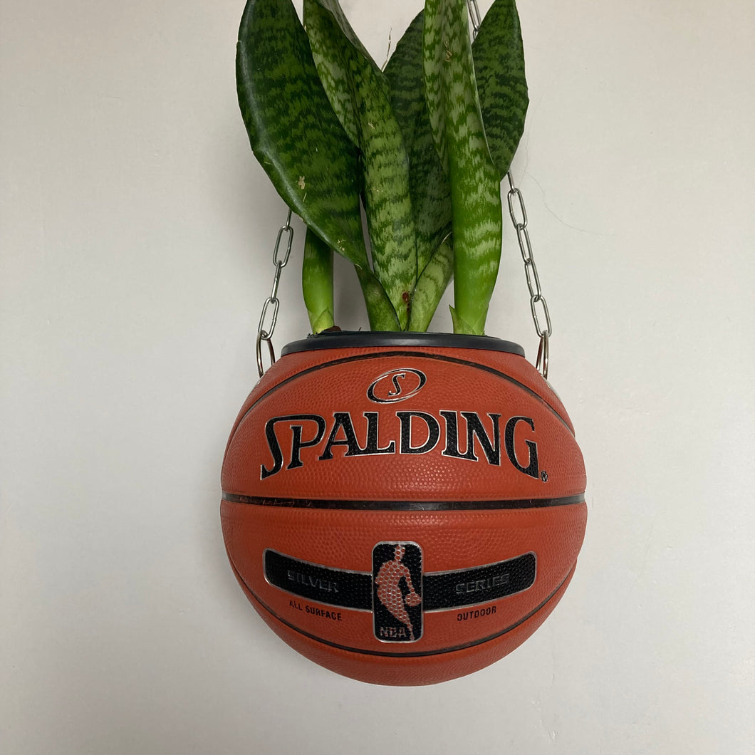idee-decoration-chambre-basketball-planter-pot-de-fleurs-ballon-de-basket-plante