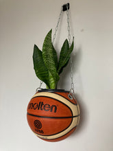 Charger l&#39;image dans la galerie, pot-de-fleurs-ballon-de-basket-molten-plante-vase-basketball-planter
