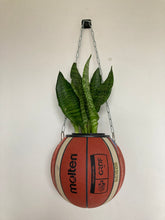 Charger l&#39;image dans la galerie, pot-de-fleurs-ballon-de-basket-plante-vase-basketball-planter-molten
