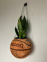 Charger l&#39;image dans la galerie, pot-de-fleurs-ballon-de-basket-spalding-basketball-planter
