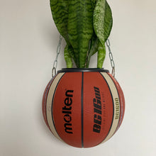 Charger l&#39;image dans la galerie, pot-de-fleurs-ballon-de-basket-vase-basketball-planter-molten
